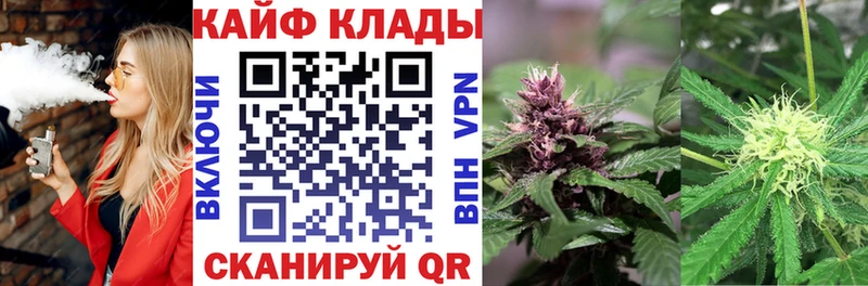 Купить наркоту Старица COCAIN  МЕФ  мега как зайти  ГАШИШ  СОЛЬ 