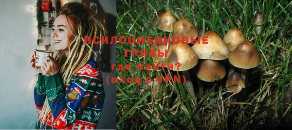 ешки Бронницы
