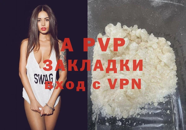 стаф Богородицк