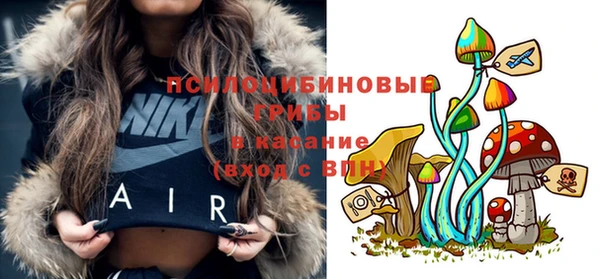 стаф Богородицк