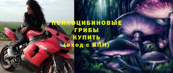 СК Бугульма