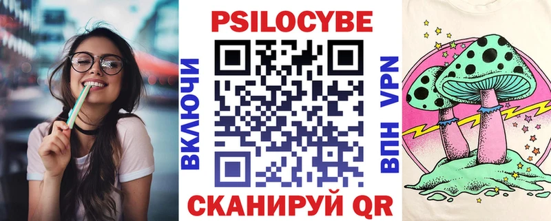 Галлюциногенные грибы Psilocybine cubensis  Старица 